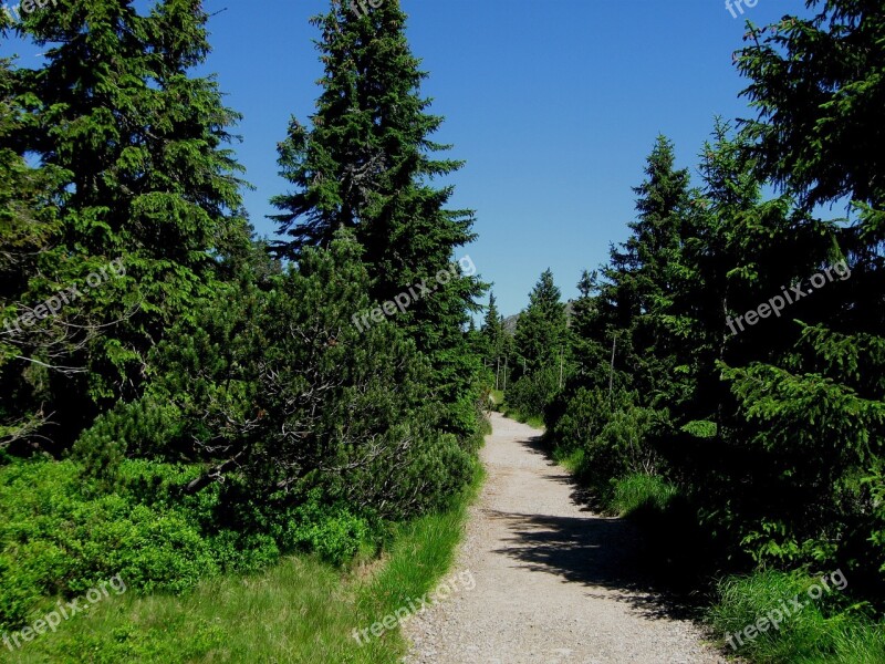 Tourism Path Mountains Sněžka Output