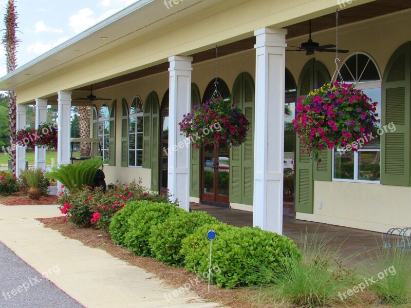 Veranda Flowers Hanging Baskets Terrace Floral