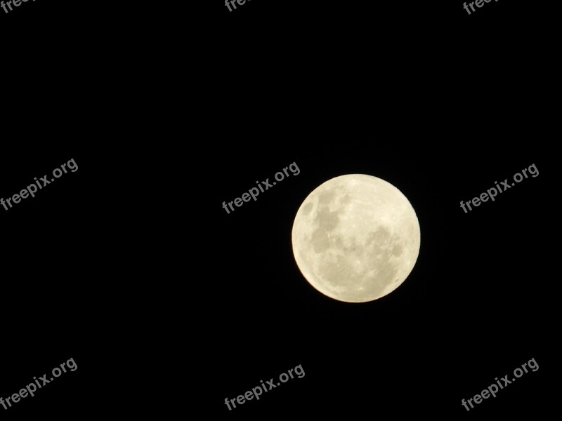 Full Moon Night Nature Astro Free Photos