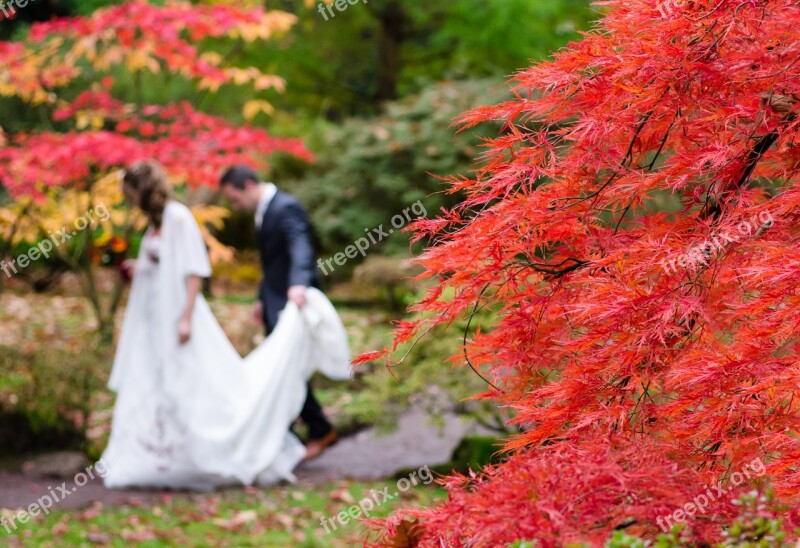 Wedding Maple Japan Autumn Dress