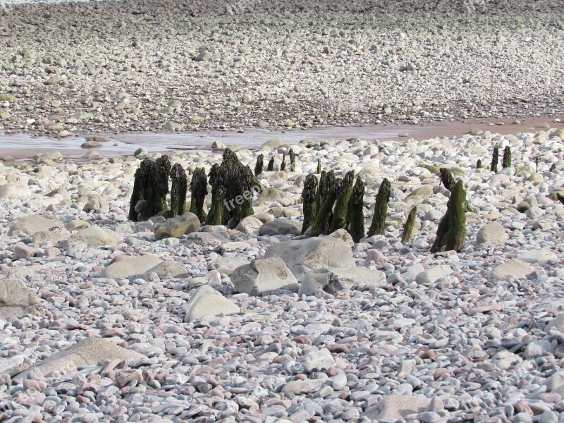 Stones Beach Stony Beach Sea Nature