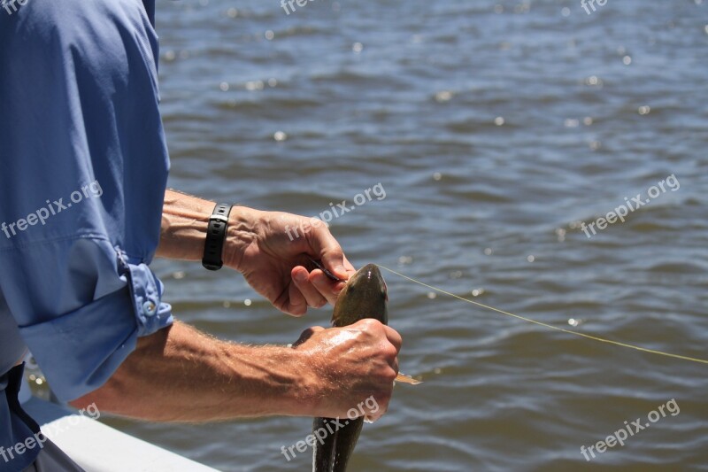 Fishing Fisherman Blue Sky Coastal Water