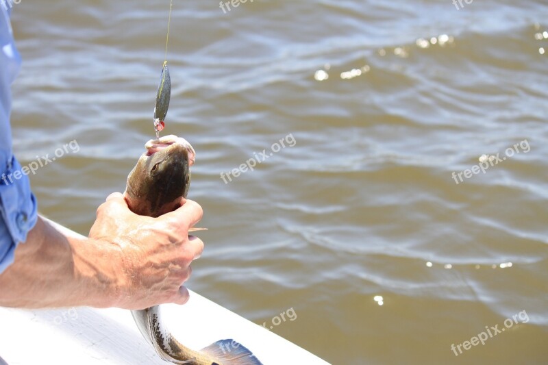 Fishing Fisherman Blue Sky Coastal Water