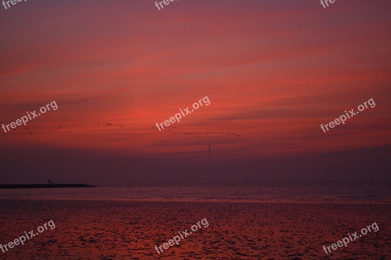 Afterglow Sky North Sea Evening Sky Dusk