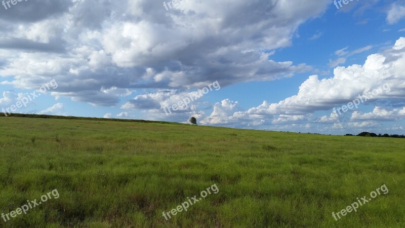 Tree Field Countryside Landscape Farmland