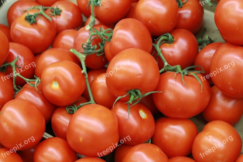 Tomatoes Canary Tomatoes Vegetable Free Photos