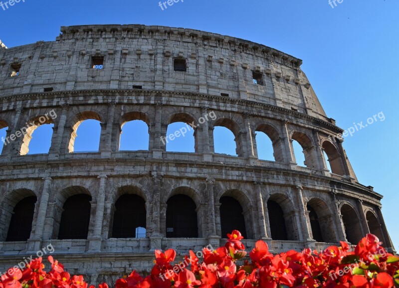 Colosseum Italy Rome Arena Gladiators