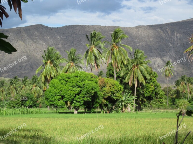 Farm Jaén Peru Free Photos