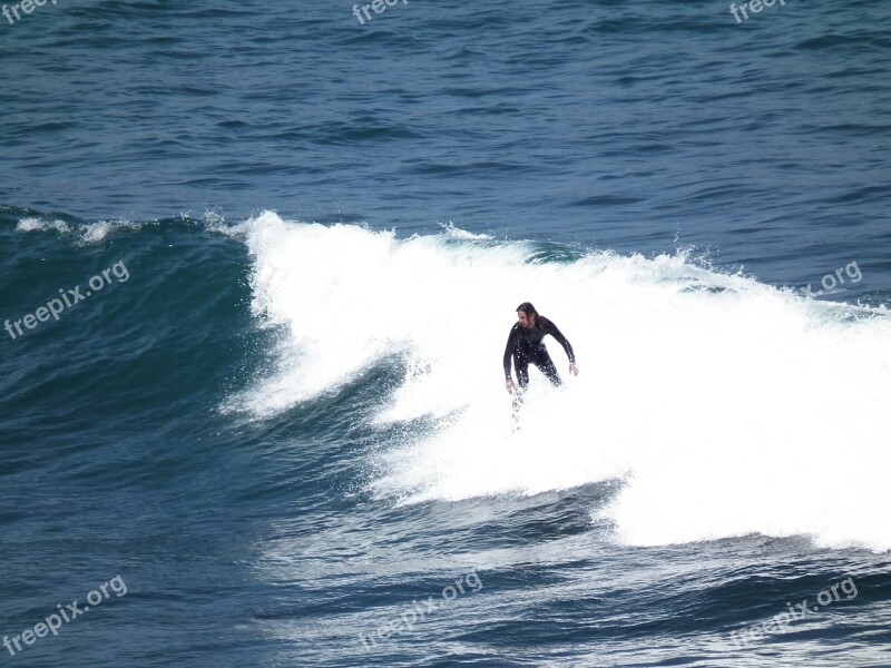 Surfer Sea Sport Surfing Water