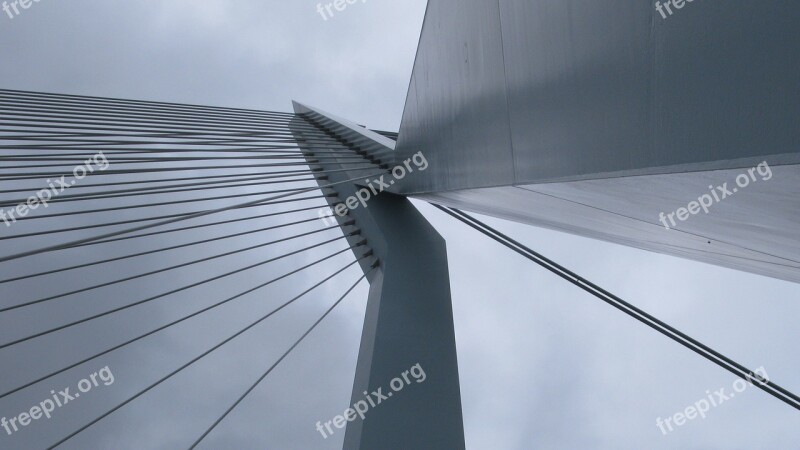 Bridge Rotterdam Bridges Holland Architecture