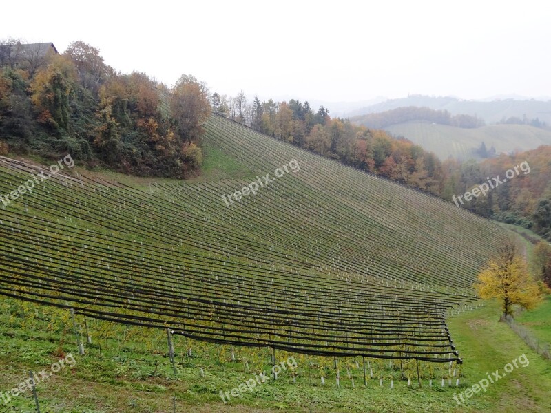 Southern Styria Wine Styria Fog Hills