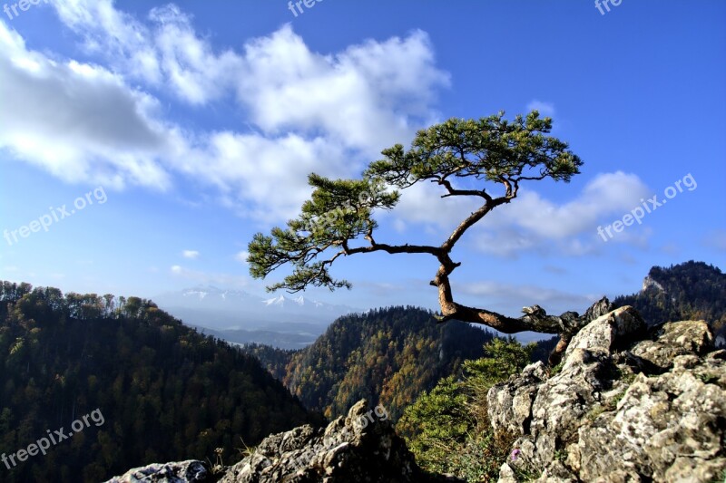 Mountains Pieniny Landscape Poland Tree