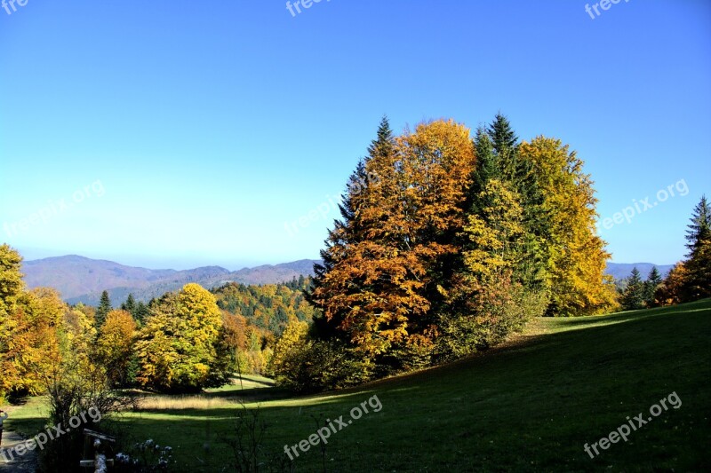 Mountains Pieniny Landscape Poland Tree