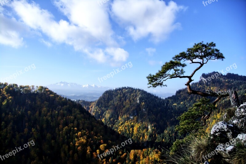 Mountains Pieniny Landscape Poland Tree