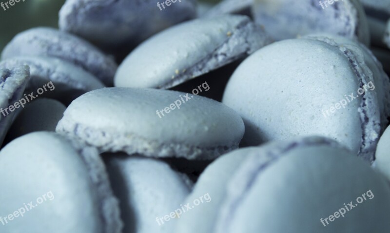 Texture Macarons Cookie Free Photos