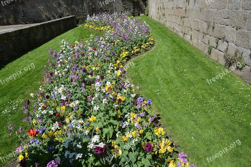 Driveways Flowers Park Garden Grass