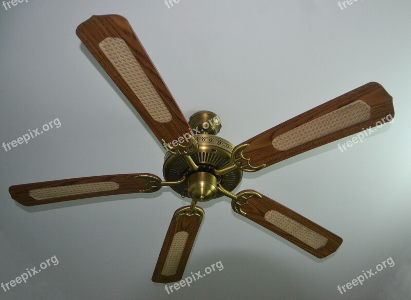 Ceiling Fan Fan Whirling Ceiling Interior