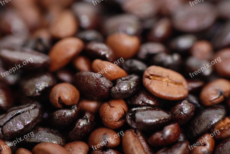 Coffee Aroma The Smell Of Caffeine Fresh