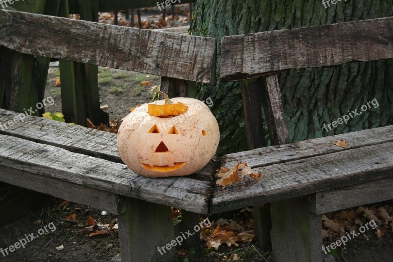 Autumn Pumpkin Halloween Orange 31 October