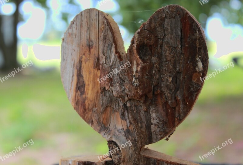 Heart In The Wood Heart Wood Nature Wooden Structure