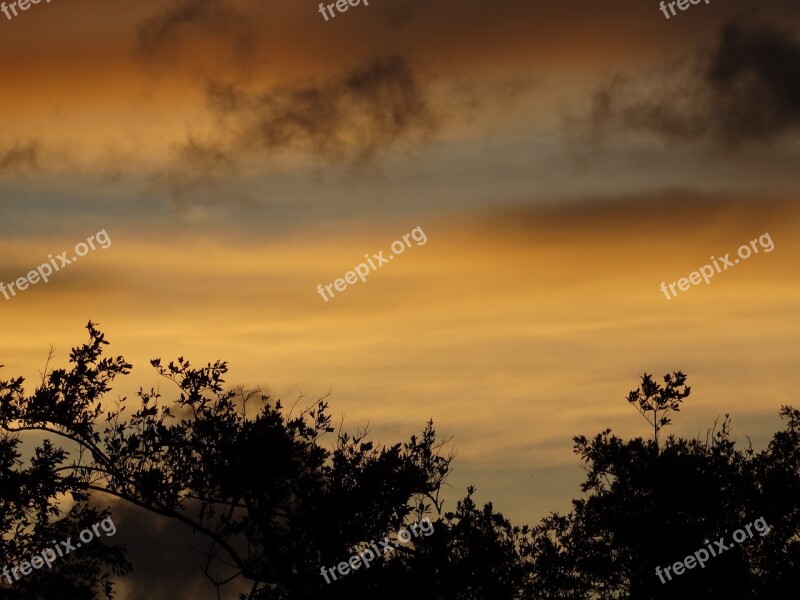 End Of Afternoon Lead French Guiana Free Photos