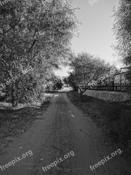 Path Road Track Field Landscape