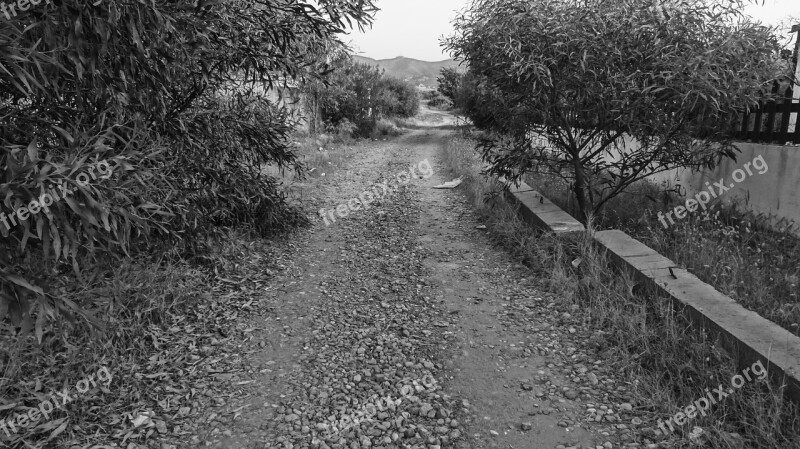 Path Road Track Field Landscape