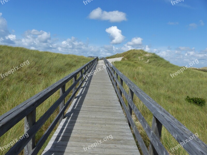 Boardwalk Sky Blue Perspective Nature