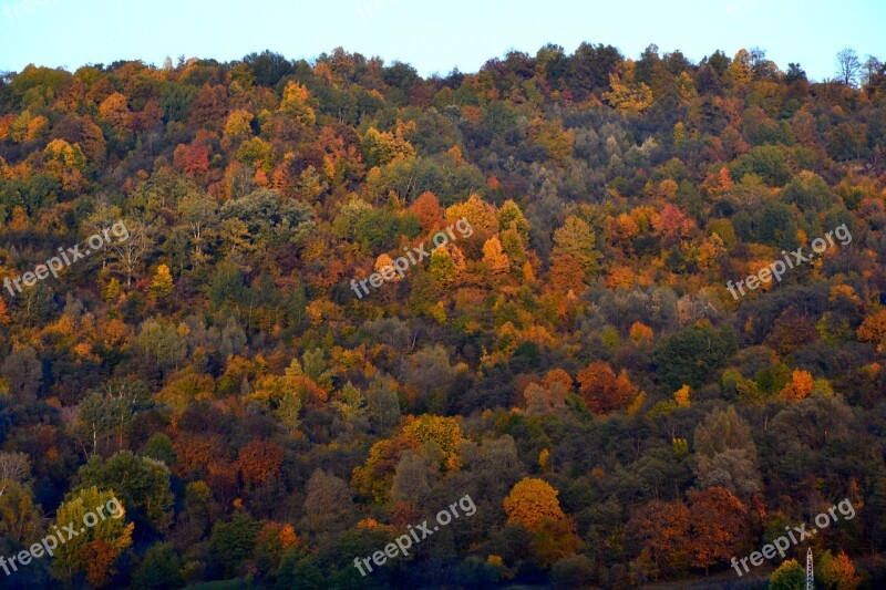 Autumn Falls Trees Colors Hills