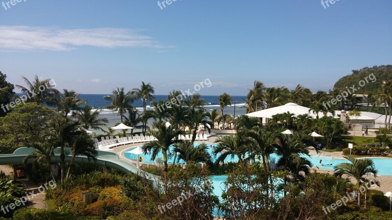 Guam Nikko Hotels Nature Landscape Palm Tree