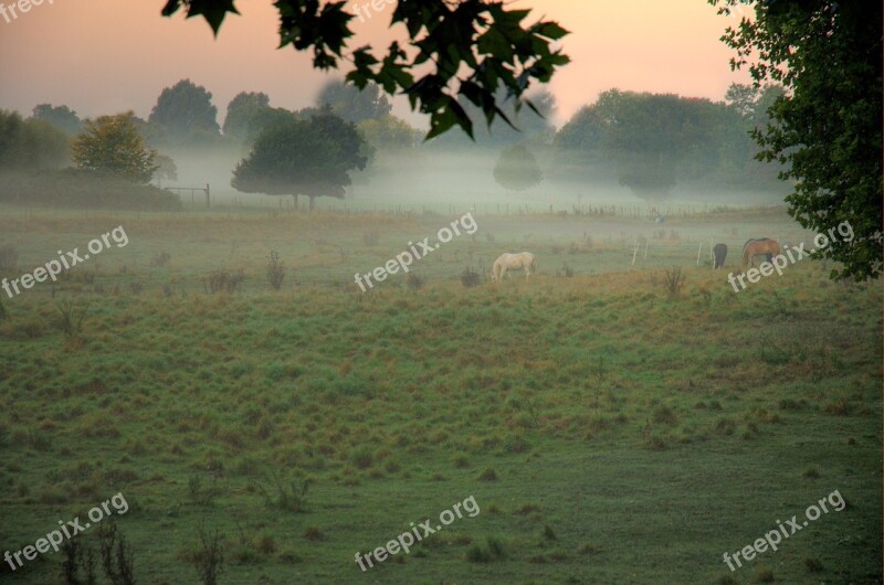 Most Early Morning Sky Nature