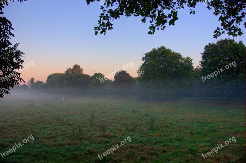 Most Early Morning Sky Nature