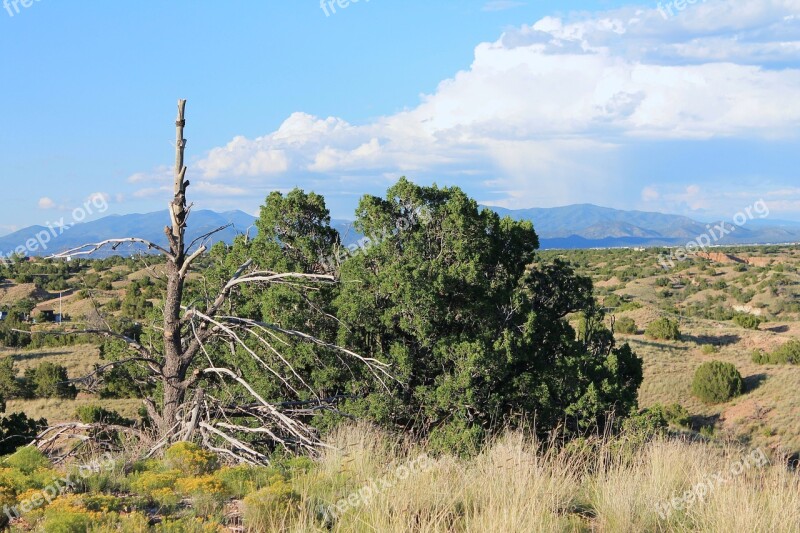 New Mexico Desert Landscape Southwest Nature