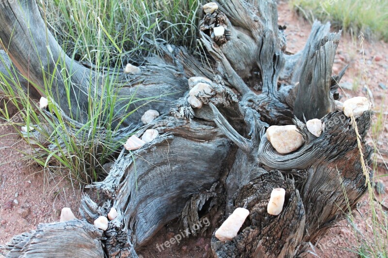 New Mexico Land Healing Nature Shamanic Altar