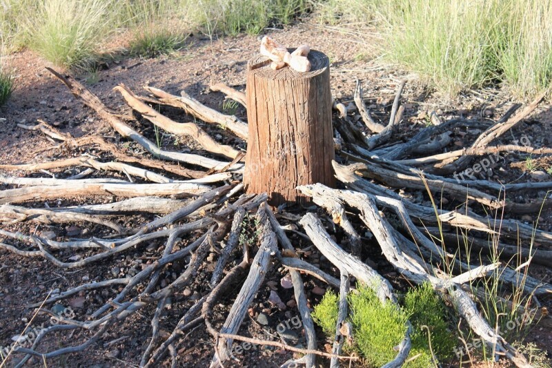 Ceremonial Land Healing Altar New Mexico Shamanic