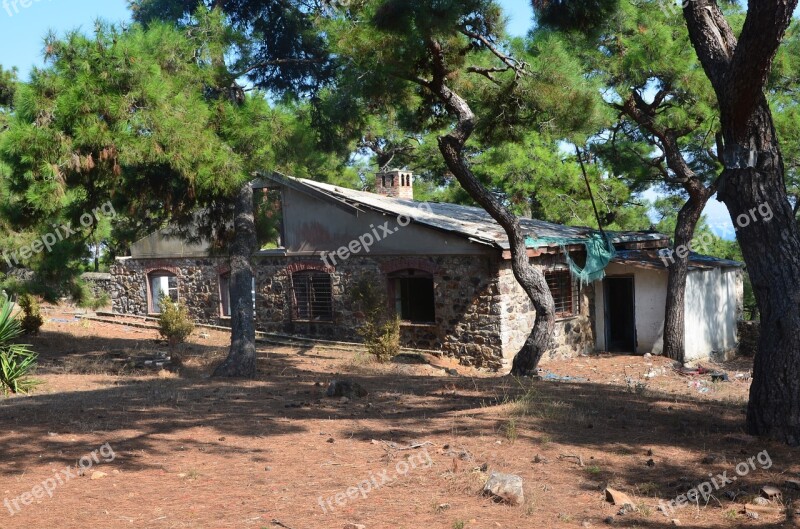 Forest Home Tree Buyukada Monastery