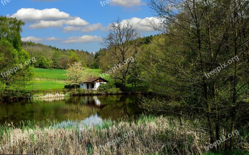 Thuringia Germany Thuringian Forest Landscape Forest View