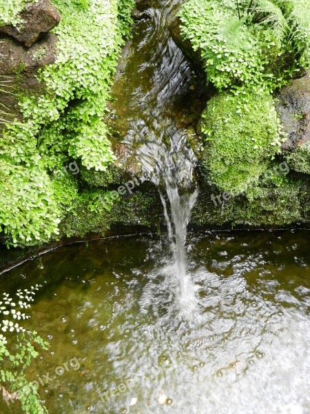 Water Waterfall River Liquid Swim