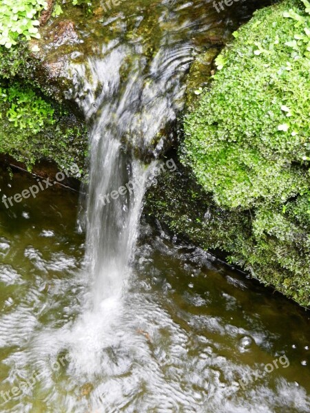 Water Waterfall River Liquid Swim