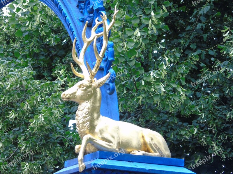 Deer Gold Blue Port Stockholm