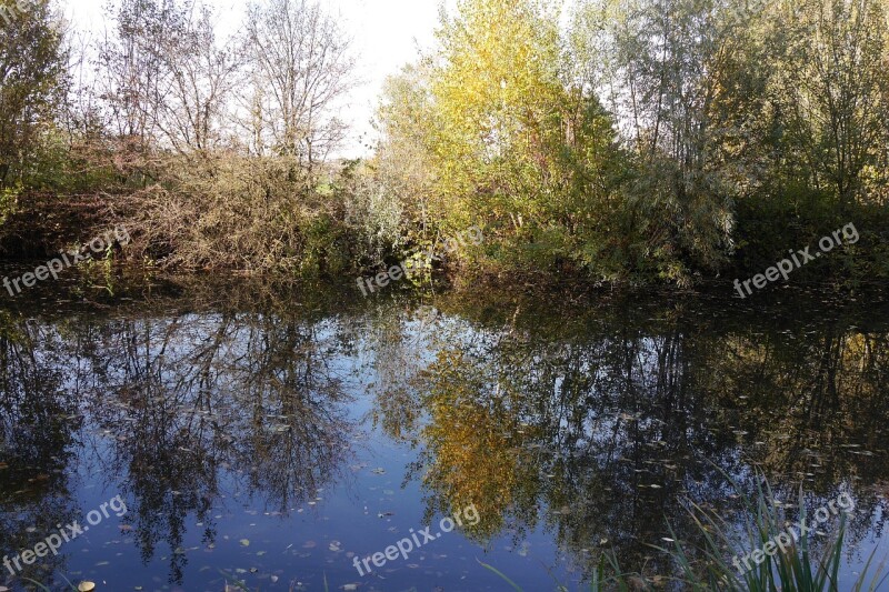 Water Pond Autumn Water Reflection Free Photos