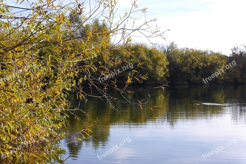 Autumn Golden Autumn Water Water Reflection Free Photos