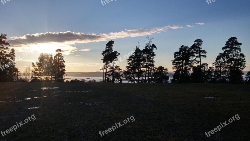 Ekeberg Forest The Nature Of The Landscape Trees