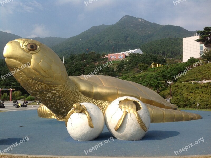 Golden Turtle Sancheong Republic Of Korea Donguibogam Village Good Luck