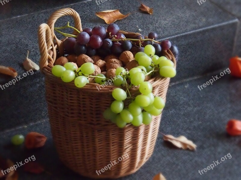 Autumn Grapes Food Fruit Nature