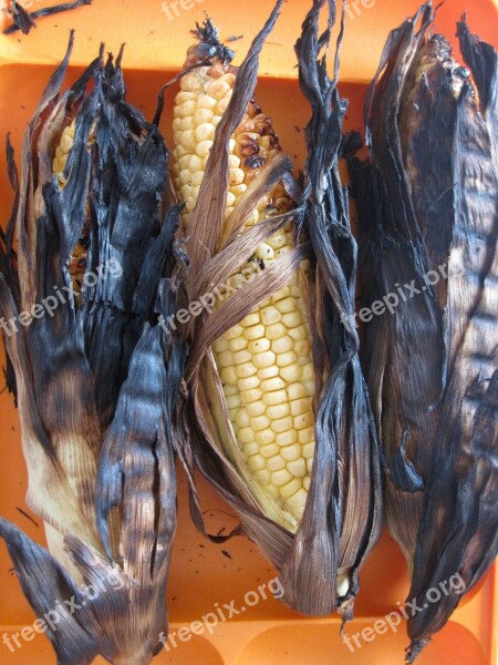 Corn Kernels Burnt Yellow Indian