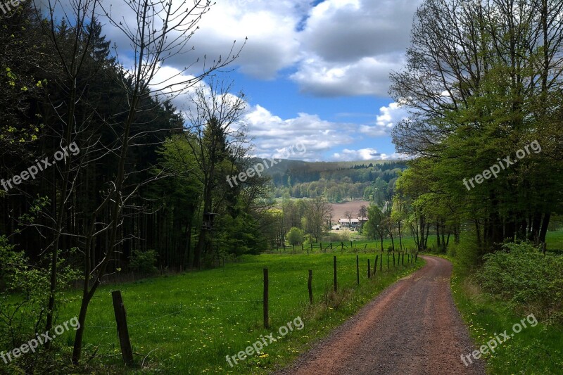 Thuringia Germany Forest Thuringian Forest Castle Wartburg Rennsteig