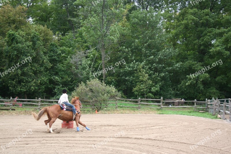 Horse Barrel Racing Sport Barrel Rodeo