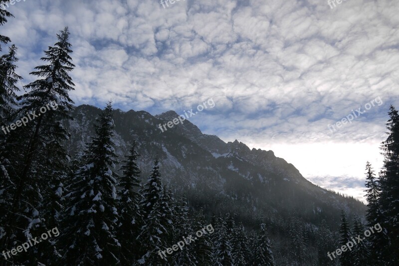 Snow Snow Landscape Mountains Forest Snow And Blue Sky