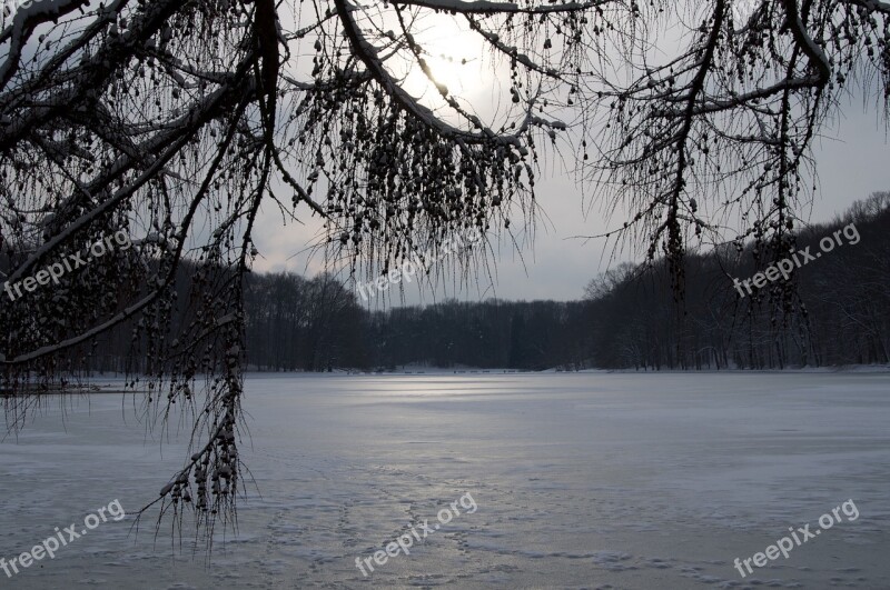 Cologne Winter Frozen Lake Ice